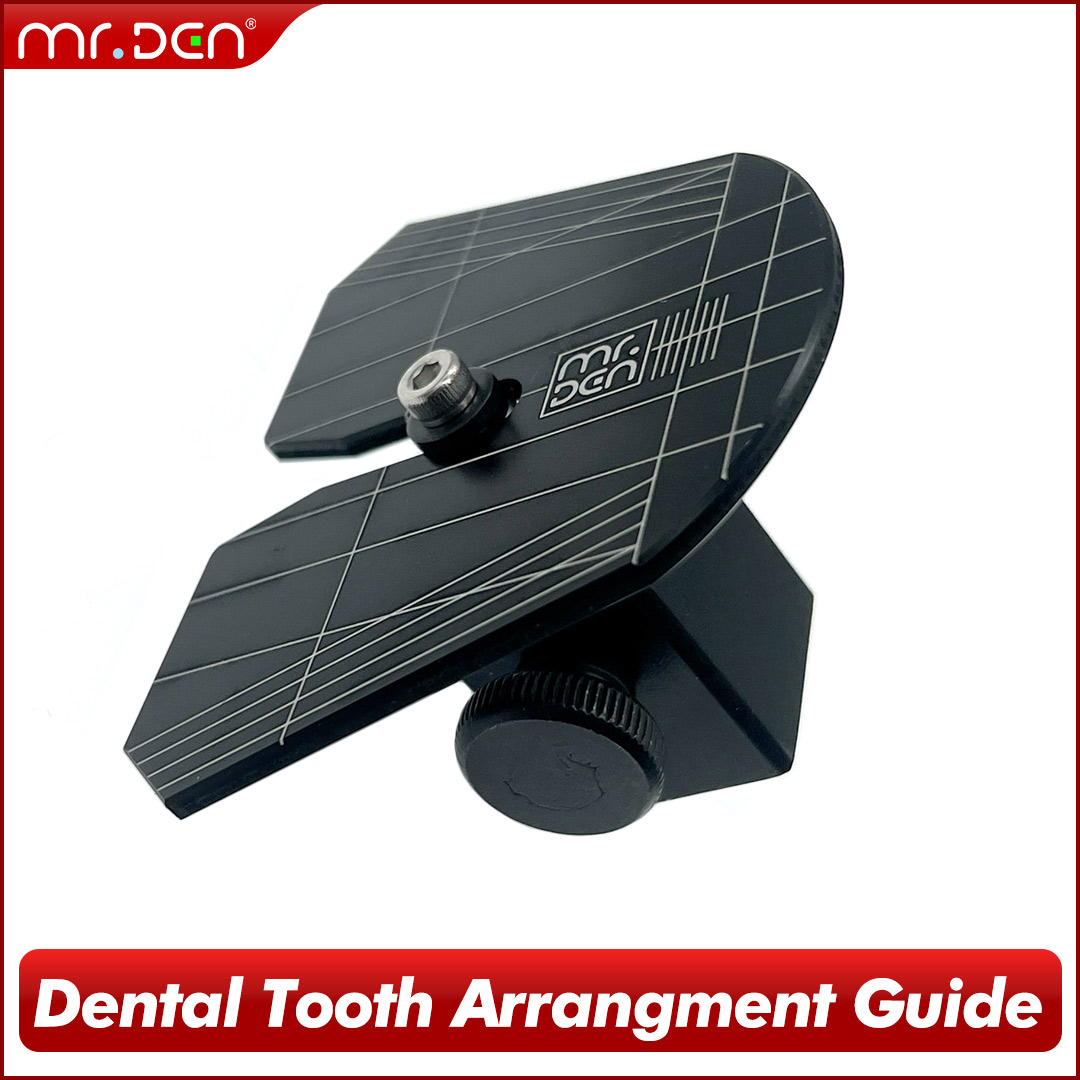 3D Printing Tooth - 2026 MR DEN Dental Digital Tooth